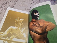Cavernario Galindo O La Furia En El Ring – Lucha Libre Book – 238 Pages – Arana