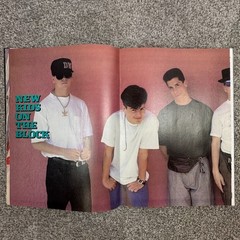 2 Teen Dream Magazines 17 Fall 1989 & 19 Spring 1990 NKOTB Gibson Savage Abdul