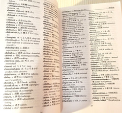 Japanese-English- English-Japanese Dictionary by Seigo Nakao…
