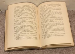 THE DEVIL VINTAGE 1928 OCCULT RELIGION BOOK BY ALFRED NEUMANN