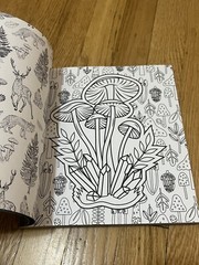 Forestcore Coloring Book 128 Pages Forest to Life Deer Mushrooms Butterflies Art