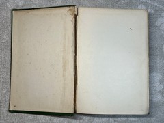 1902 Naughty Nan by John Luther Long The Century Co. Illustrated
