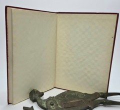 I Dare You! by William H. Danforth 1938 8th Edition Ralston Purina MINT COND