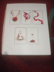 The Twilight Saga White Collection- Stephanie Meyer- Wow Look 5 Books