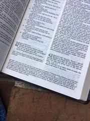 NKJV & Classic Amplified 1987 AMPC Parallel Bible – Black Bonded Leather