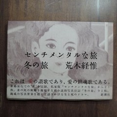 Photo Book Sentimental Journey Winter 1991 Nobuyoshi Araki Japanese Used