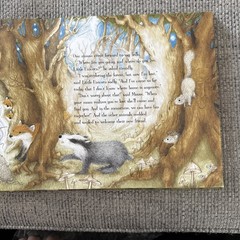 Little Lost Unicorn by Lorna Hussey (2009, Hardcover)