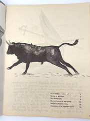 Toreros in Juarez Photos of Bullfighting Illustrations 36 pages Vintage 1960’s