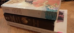 Isabel Allende Books lot