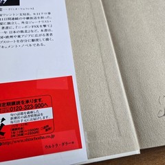 Shinchosha Ultra Dollar Ryuichi Teshima (Japanese) Thriller Hardcover Book