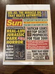 Sun Magazine June 15 1993 Bagged And Boarded!!!!!