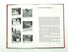 Feeding Your Horse and Pony by Diana R. Tuke (1988 Hardback, J.A. Allen) – Illus