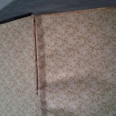 ANNIES SWAN’S MAGAZINE – THE WOMAN AT HOME – BOUND COPY 1902 500 + pages