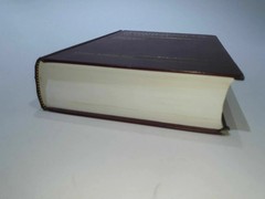 Carolina Academic Press Law Casebook: Constitutional Law in Context by…