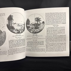 Dispensational Truth or God’s Plan and Purpose in the Ages by Clarence Larkin