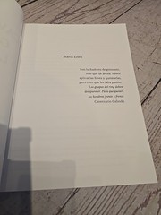 Cavernario Galindo O La Furia En El Ring – Lucha Libre Book – 238 Pages – Arana