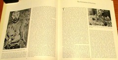 1976 The “Wild Beasts” Fauvism and its Affinities Softcover Book MOMA 168 Pages