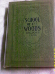 SCHOOL OF THE WOODS, 1902 HARDCOVER, NO DJ, WILLIAM J. LONG, EX LIBRARY