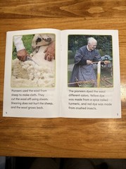 Savvas Learning Company Rubicon Early Reading Booklets Set of 9 NEW @2019