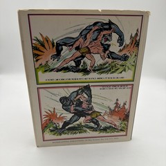 TARZAN OF THE APES BY BURNE HOGARTH NY 1972, 1st Edition PRINTING in DUST JACKET