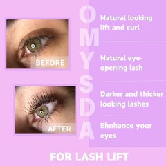 Lash Lift Kit Brow Lamination 2 in 1 0 Fl Oz (Pack of 1000), Black