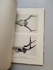 Mammals States of Sinaloa and Jalisco Mexico J. A. Allen American Museum 1906 VG