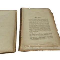 Extra Large 20 x 15 Antique Book Indian Tribes Of North America NO Illustrations