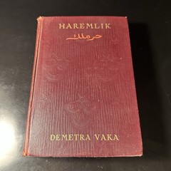 Haremlik, Life Of Turkish Women By Demetra Vaka – Houghton Mifflin 1909 HC