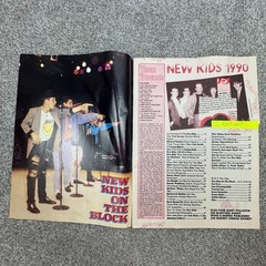 2 Teen Dream Magazines 17 Fall 1989 & 19 Spring 1990 NKOTB Gibson Savage Abdul