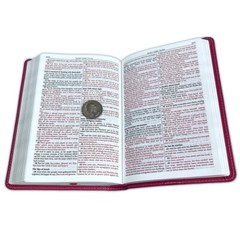 Compact Bible for Girls King James Version KJV pink leathertouch