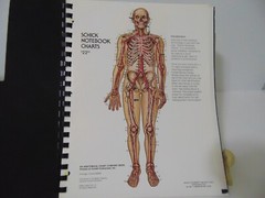 Schick Notebook Charts Human Anatomy 1980 Softcover Spiral Bound Book