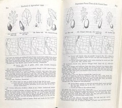 1949 VINTAGE USDA Yearbook of Agriculture “TREES” – 944 Pages Illustrated HC