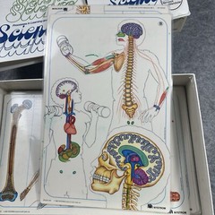 Nystrom Science Body Systems Skeletal Muscular Curriculum Homeschool Vintage