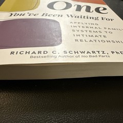 Relationships : You Are the One You’ve Been Waiting for Applying Internal Family