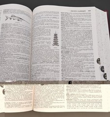 Merriam-Webster’s Collegiate Dictionary Tenth Edition Thumb-Indexed