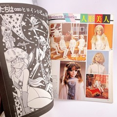 Anime Mook Spaceship Bessatsu Super Gals Collection SFX Heroines Japan