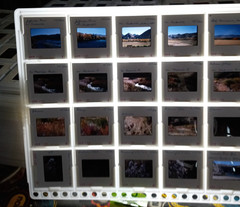 1000 Vintage Slides Nature Flower Mtns Trees Lakes 2 x 2 In 50 Holders 1960-1970