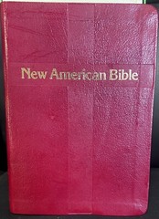 New American Bible : St Joseph Personal Size Edition Leather Burgundy [510/13BG]