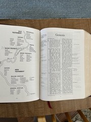 Kirkbride Thompson Chain Reference Bible NIV Red Letter Bonded Leather
