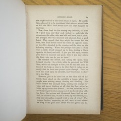 1895 BROTHERS GRIMM FAIRY TALES DRAGONS ELF WITCH OCCULT MYTH MAGIC ANTIQUE BOOK
