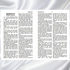 LARGE PRINT RESTORED NAMES BIBLE HalleluYah Scriptures & 2 FREE Books