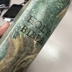 Collins World Vintage Illustrated Zip Up Holy Bible