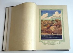 1917 UNIVERSITY OF MINNESOTA GOPHER YEARBOOK MINNEAPOLIS – 652 PAGES