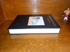 SAN JACINTO VALLEY Past and Present CALIFORNIA Volume I 1989 Hard Cover