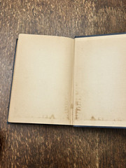 1924 The Illiterate Digest by Will Rogers 1st Edition