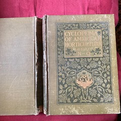1904 Cyclopedia Of American Horticultural 700 Original Engravings Volume 3 N-Q