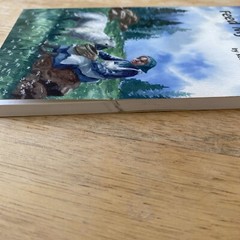 Feed My Sheep Poetry Book By Rebecca Janes , Glenn Emmons (Painter)