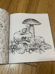 Forestcore Coloring Book 128 Pages Forest to Life Deer Mushrooms Butterflies Art