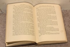THE DEVIL VINTAGE 1928 OCCULT RELIGION BOOK BY ALFRED NEUMANN