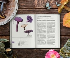 Mycologists Primer RPG